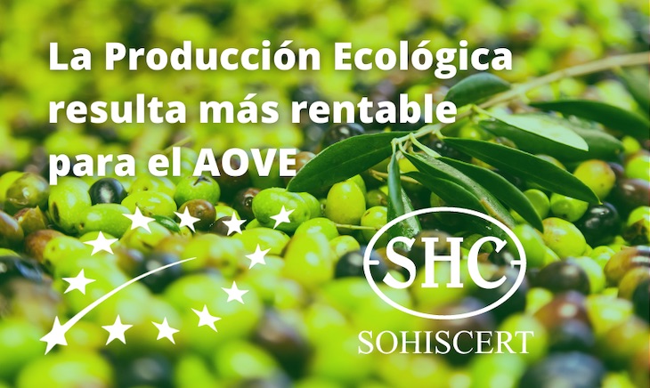 Producir AOVE de manera ecológica es mucho más rentable