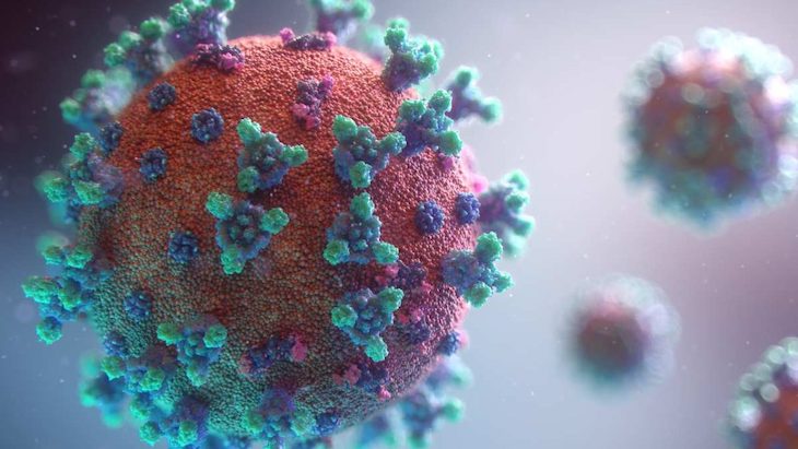 Vida saludable. Novedades sobre el ‘sars-cov-2’