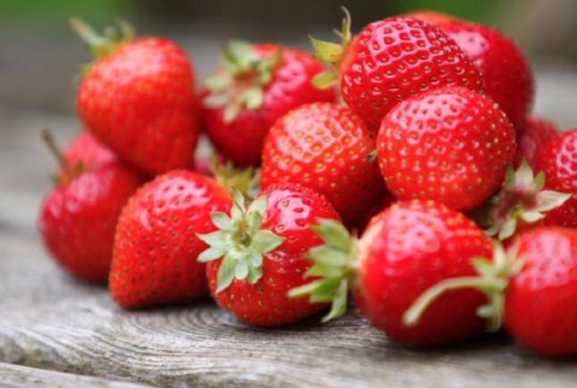 Fresas