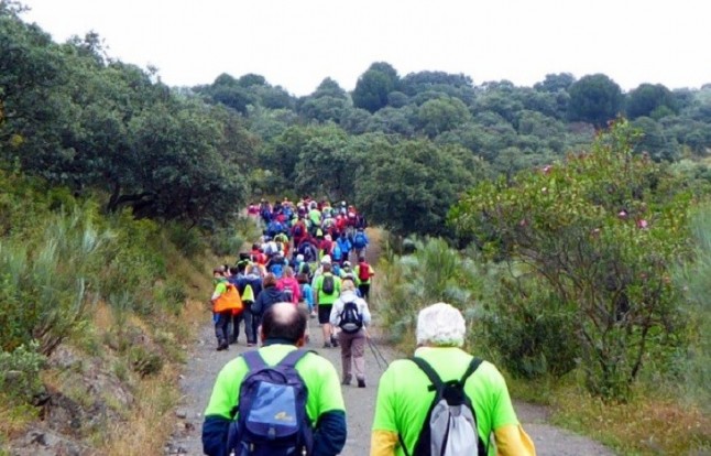 Mejoras en varios senderos de Sierra Morena