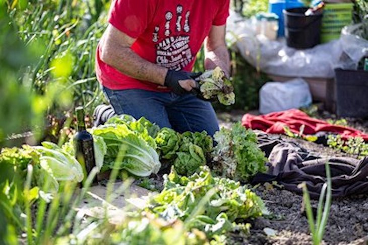 Camargo abre con alguna restricción sus huertas municipales sostenibles