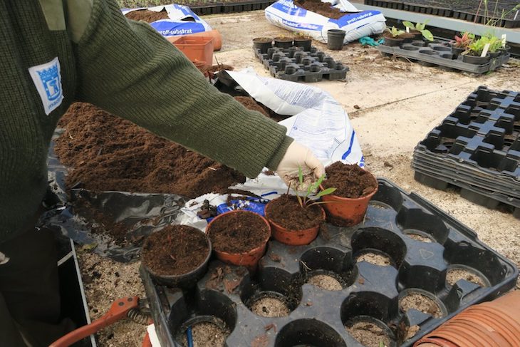 Un huerto en la terraza de Madrid