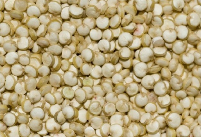 Productos Ecológicos recomendados por ECOticias.com: Quinoa ecológica