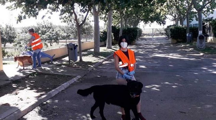 Baleares. El centro de protección animal de Son Reus retorna a la actividad