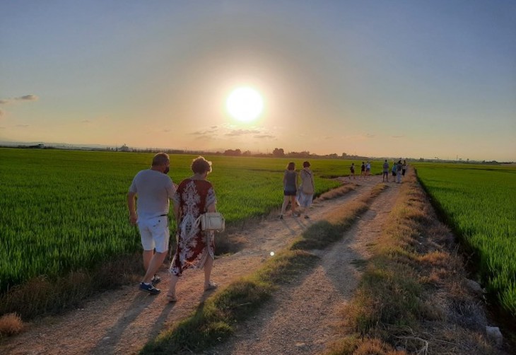 El Museo del Arroz amplía hasta final de año las rutas guiadas gratuitas por la Albufera