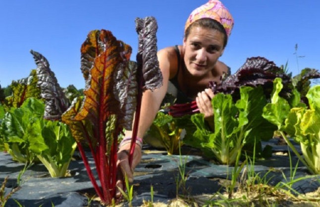 I Estrategia de Alimentación Sostenible y Saludable en Zaragoza 2019-2030