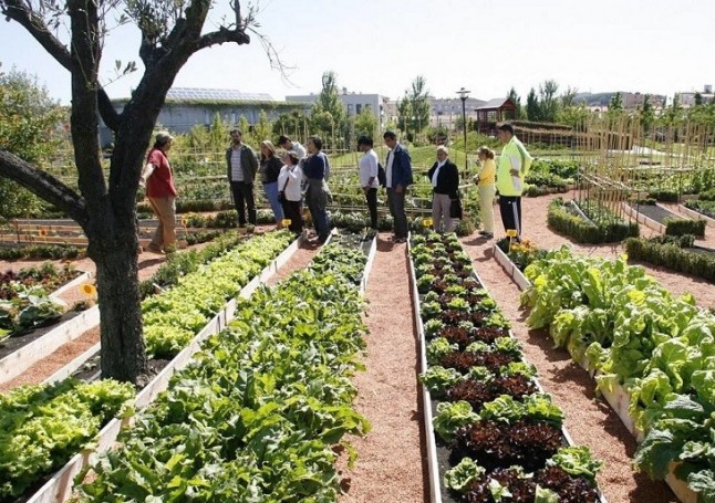El Ayuntamiento de Pamplona propone una parcela de más de 2.000 m2 junto a la Biblioteca General como huerto ecológico
