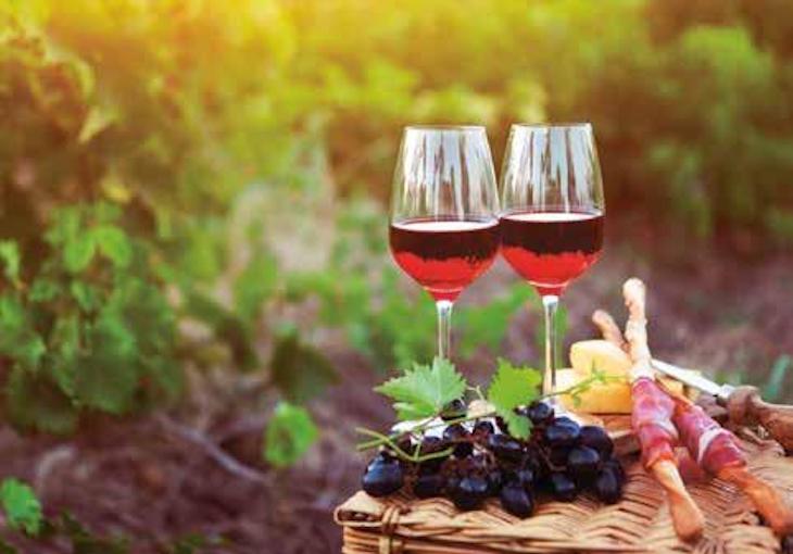 Navarra triunfa el 11ª edición de los premios Ecovino