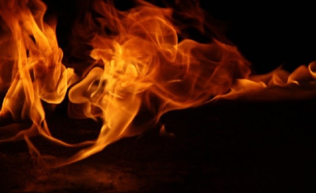 Tecnología verde para identificar los territorios con más riesgo de incendios