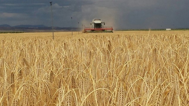 La intensificación agrícola no es un buen plan