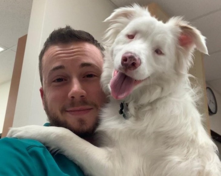 Una perra sordociega se despierta de la siesta (video)