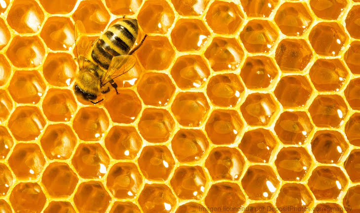 En tu dieta saludable no puede faltar esta jalea real