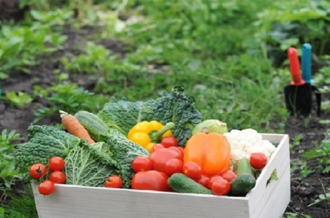 Madrid se lanza a consumir productos ecológicos