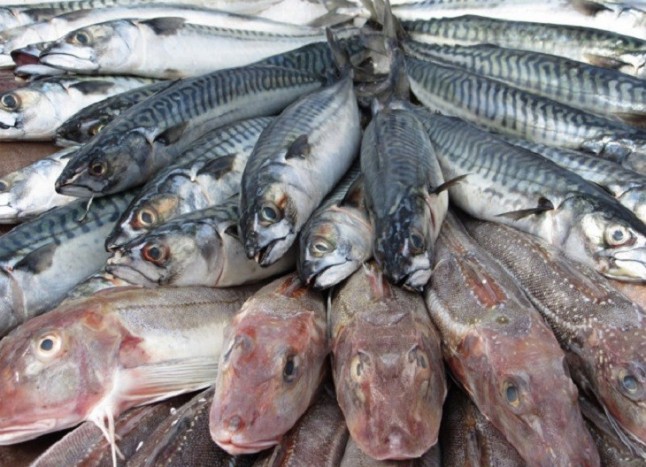 Pescado + marisco: mercurio