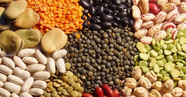 Legumbres