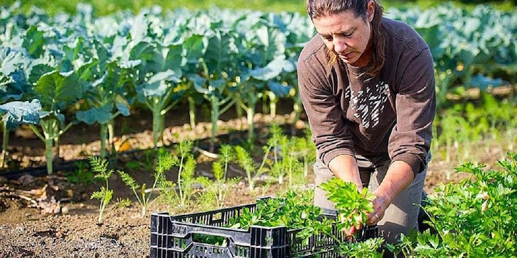 Se dispara notablemente la producción ecológica en España