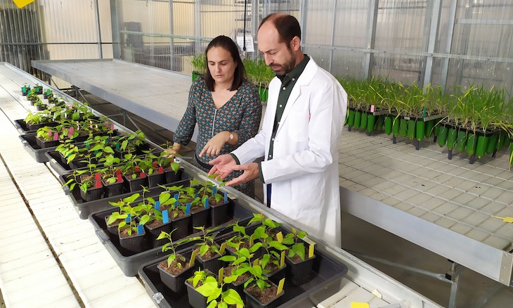 ‘Agrienvironment’ comienza a diseñar la agricultura del futuro