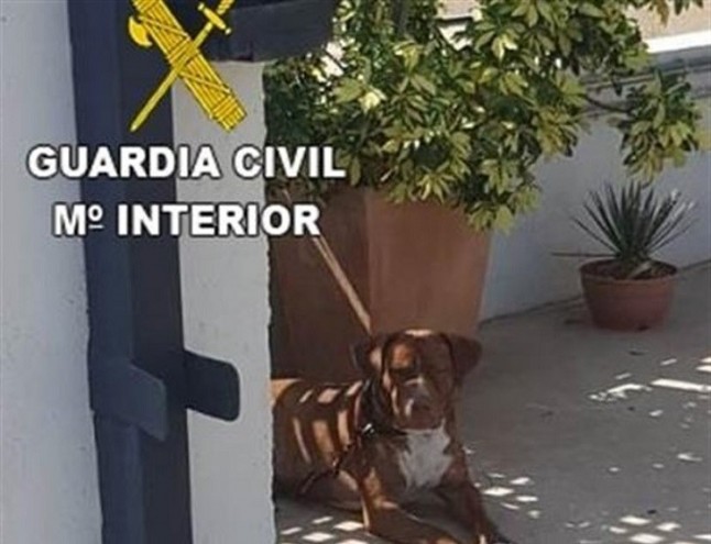 Investigadas dos personas por abandonar a un perro atado sin agua ni comida a los 20 días de adoptarlo