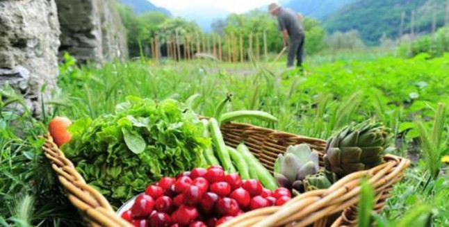 Europa prepara nuevas normas sobre producción y etiquetado de alimentos ecológicos para 2021