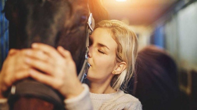 Los benditos caballos que mejoran las condiciones de vida de enfermos de esclerosis múltiple