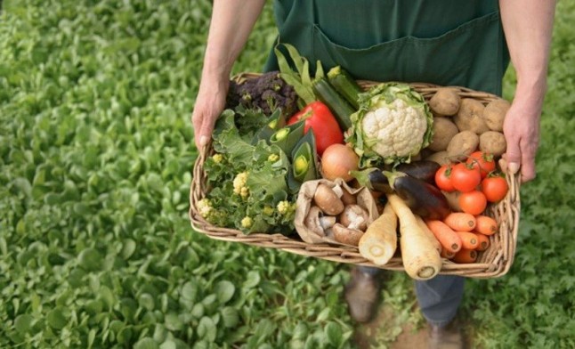 Colectivos ecologistas