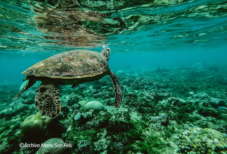 Nace Santander for the Seas