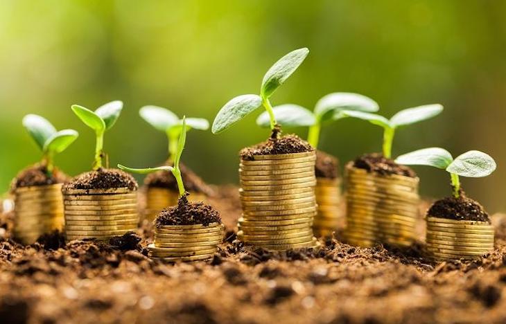 Políticas verdes. Greenalia emite un bono verde por 55 millones para financiar su plan de crecimiento