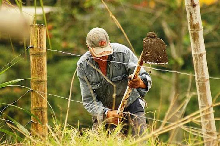 Día Mundial de la Lucha Campesina 2021 - Queda mucho por hacer
