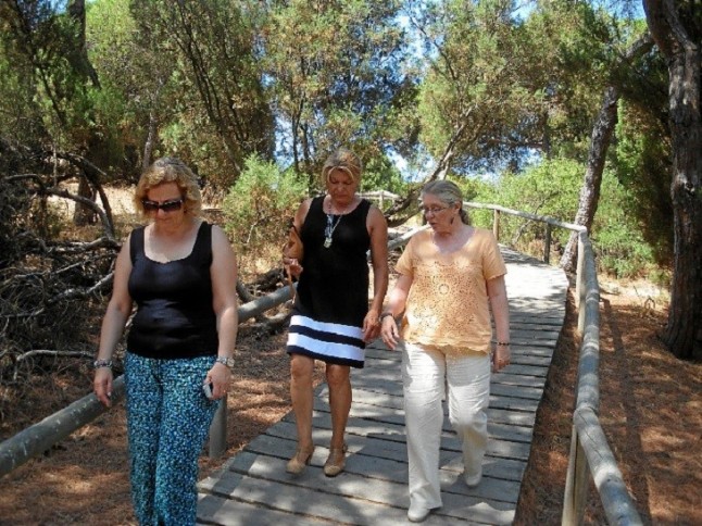 Mejoras de las pasarelas del Paraje Natural de Enebrales