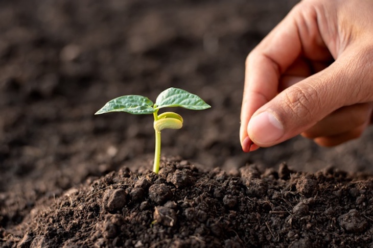 Servalesa ‘apuesta’ por la agricultura ecológica por CAAE