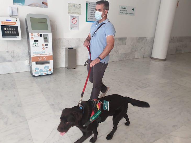 Activan en Granada el primer protocolo para el acceso de los perros de asistencia sanitaria a un hospital andaluz