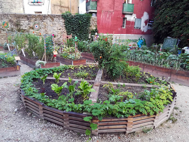Huertas urbanas en Etxabakoitz