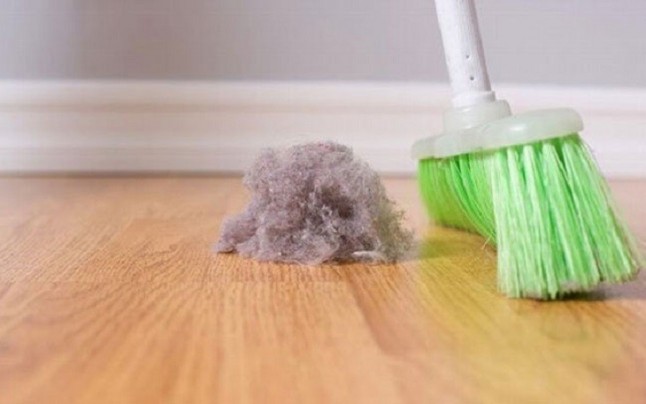 El polvo doméstico ‘engorda’