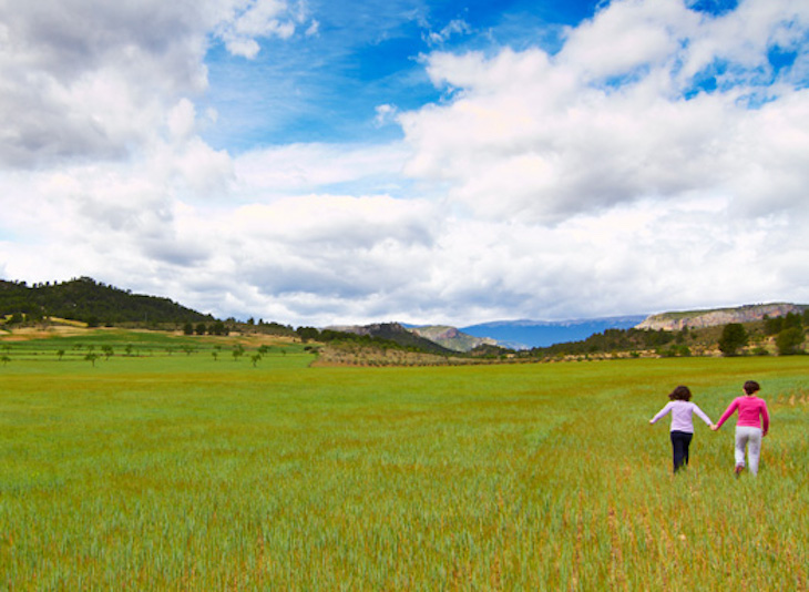 El Cantero de Letur. Agricultura ecológica