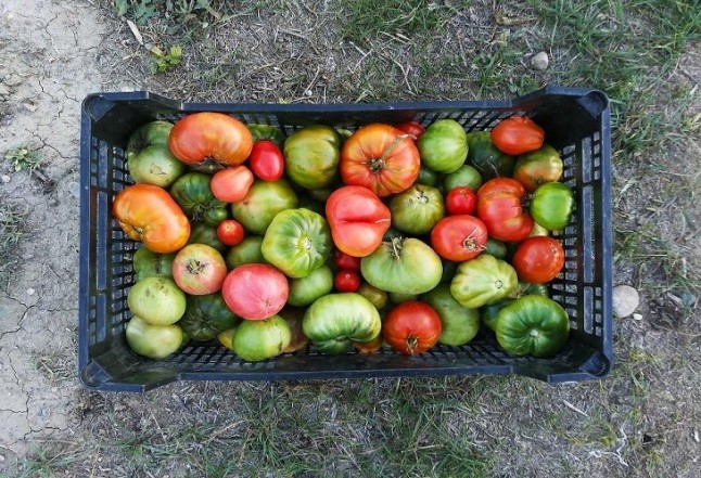 Qué es la agroecología