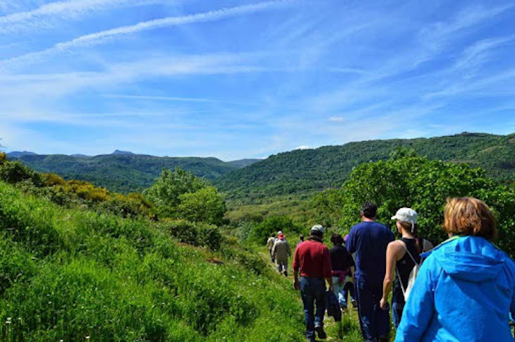 Un nuevo sendero micológico invita a disfrutar de la naturaleza entre Cepeda