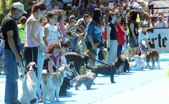 Valladolid celebrará este domingo el Día de la Mascota para promover la protección y la adopción de animales