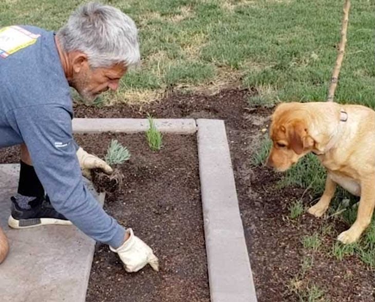 El perro ‘jardinero’ (video)