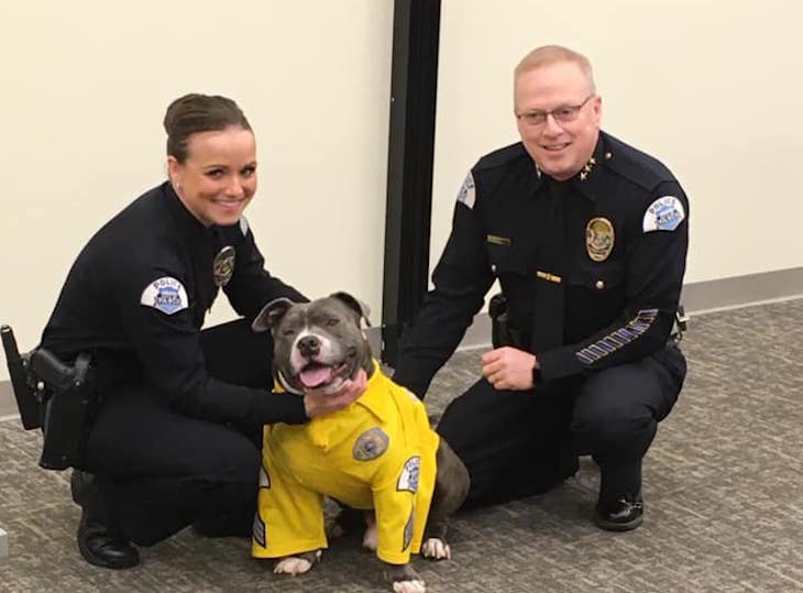 Perro policía por un día