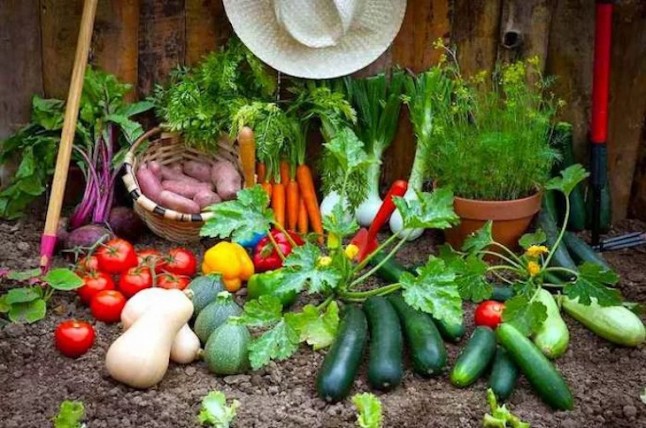 Descárgate gratis el nuevo libro de SEAE