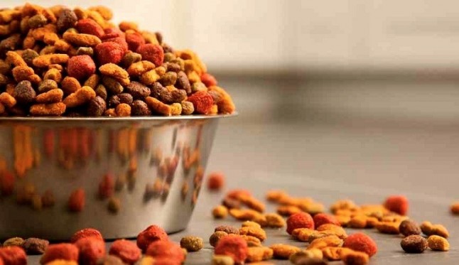 El sector de alimentación para mascotas viento en popa