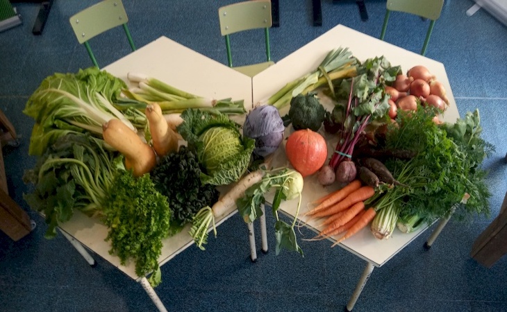Navarra. CPAEN/NNPEK elabora un manual para acompañar a las APYMAS en la transición hacia comedores saludables y sostenibles