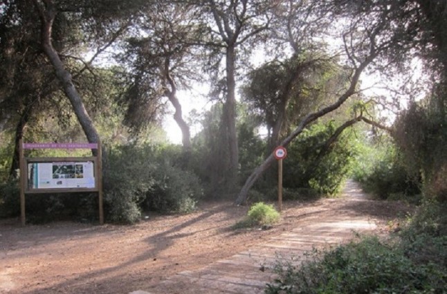 València instala nuevos paneles en itinerarios del bosque de la Devesa