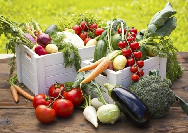 Unos hábitos y dieta saludables mejora la rehabilitación de un ictus