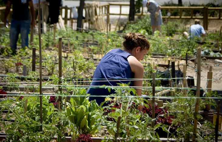 Etxabakoitz contará antes de final de año con medio centenar de huertas urbanas destinadas a vecinos de Pamplona