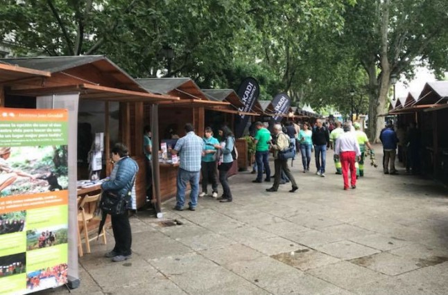 MADbird ofrece alternativas sostenibles frente a la España vacía