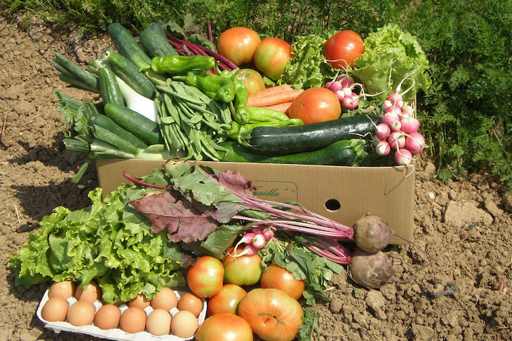 El programa de TVE ‘Aquí La Tierra’ analiza los productos ecológicos de Navarra