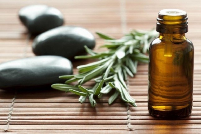 Villamanrique impulsa un taller de cosmética natural a partir de la flora autóctona