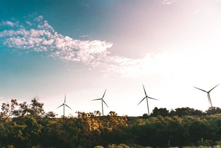 Inversiónes en Verde. CaixaBank invierte 12.000 millones en financiaciones sostenibles en 2020