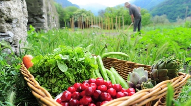 Agricultura ecológica